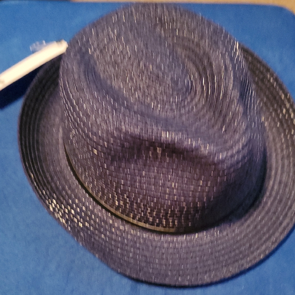 Stylish Blue Fedora Hat
